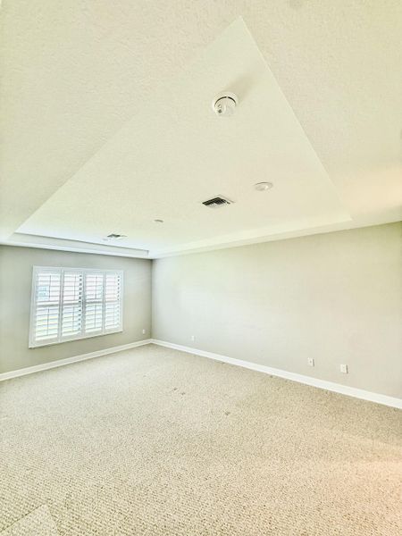 Enormous Master Suite, Tray Ceiling