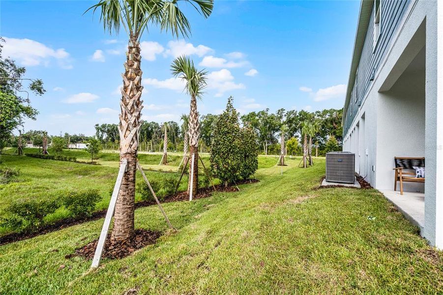 Exterior details and patio area of a home in Delaney Reserve, Deland (Image 30).