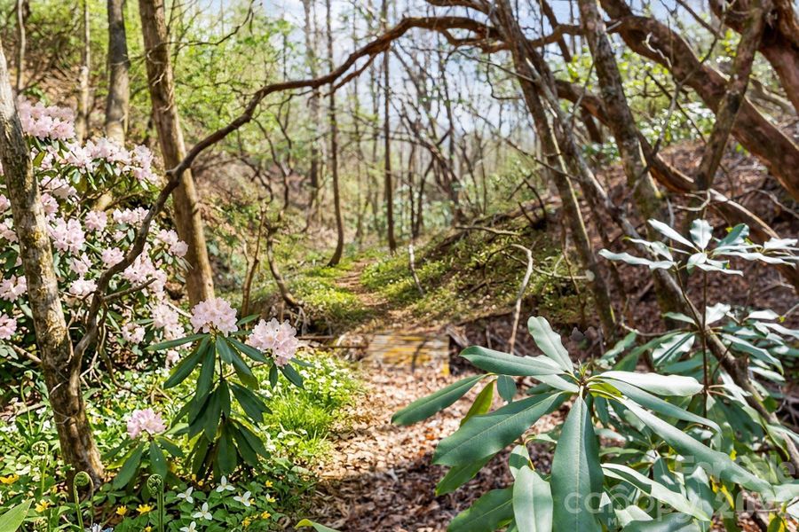 Natural landscape and outdoor views near  in Black Mountain (Image 39).