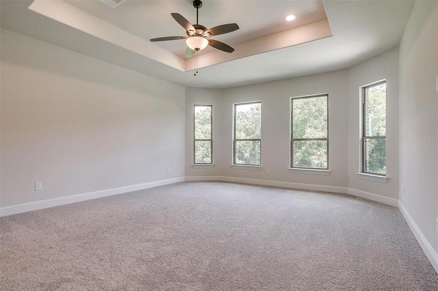 Carpeted spare room featuring plenty of natural light, ceiling fan, and a raised ceiling