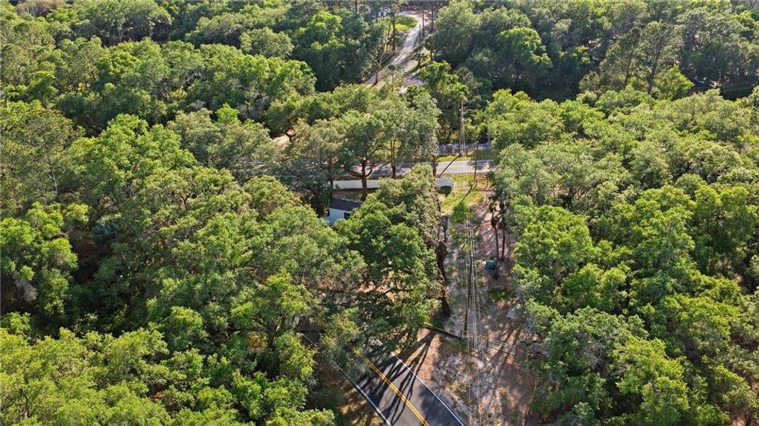 Natural landscape and outdoor views near  in Ocklawaha (Image 21).
