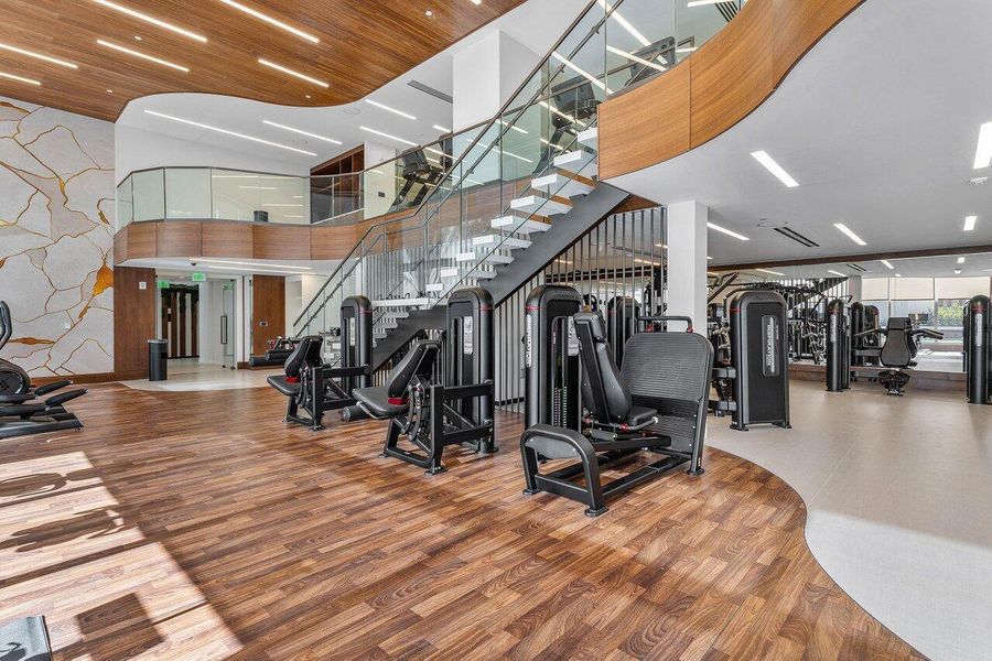 Gym Gym