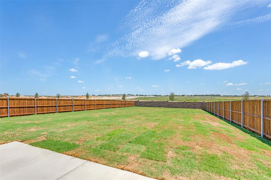 View of fenced backyard