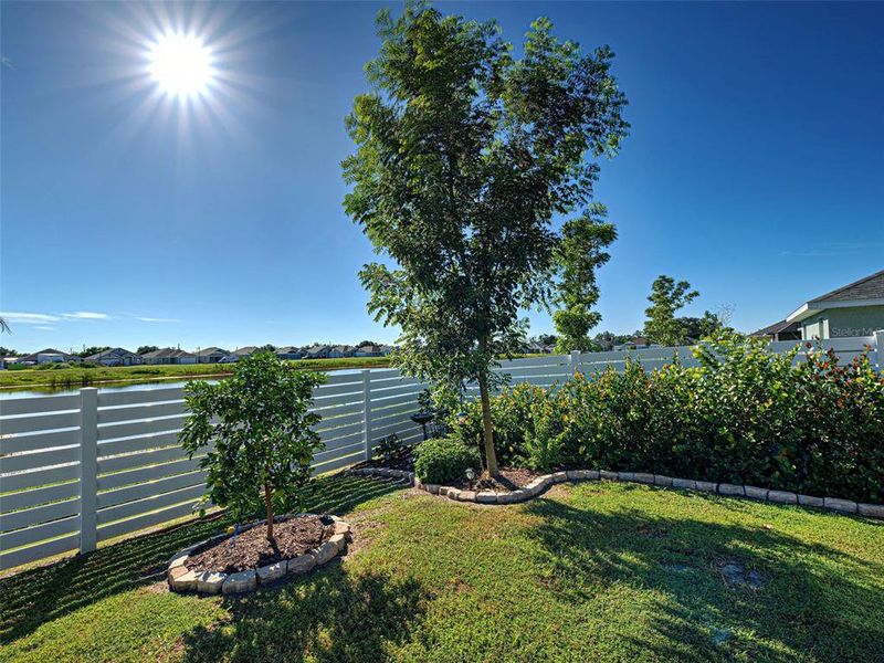 Natural landscape and outdoor views near Watercress Cove in North Port (Image 43).