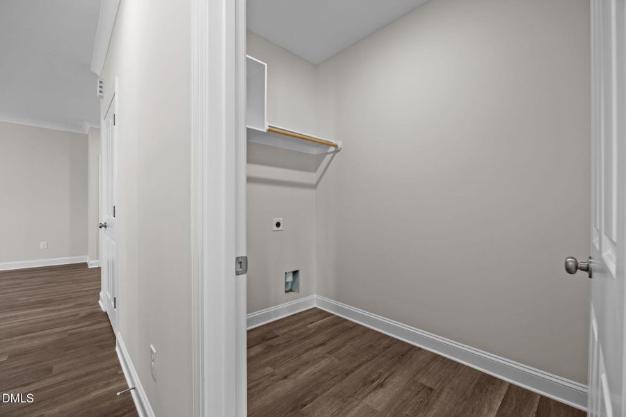 22-web-or-mls-IMG_1133