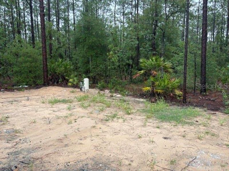 Natural landscape and outdoor views near in Ocala (Image 7). Natural landscape and outdoor views near in Ocala (Image 7).