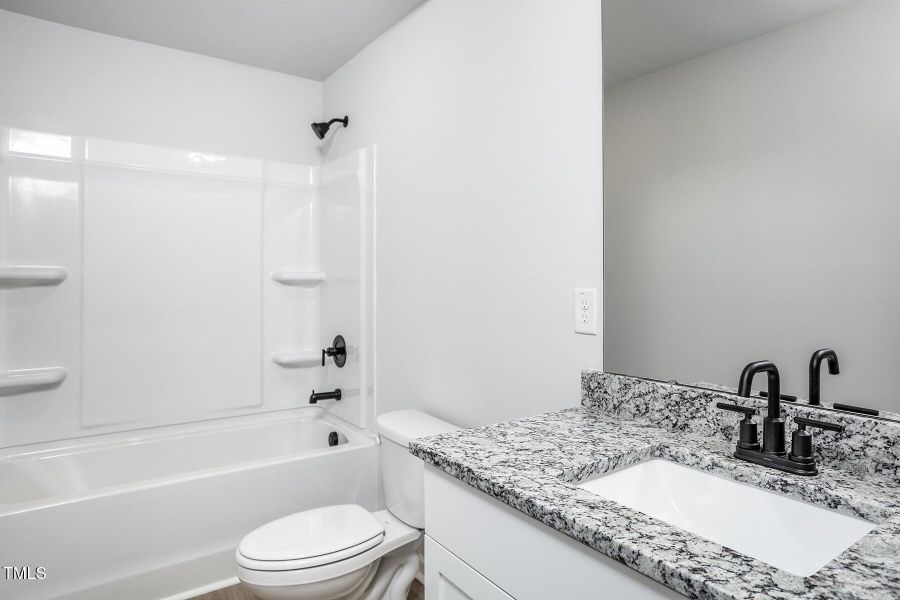 Southeast_Birch_L_020