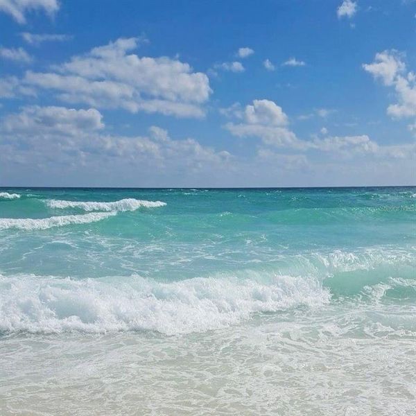 Natural landscape and outdoor views near  in Sarasota (Image 20).