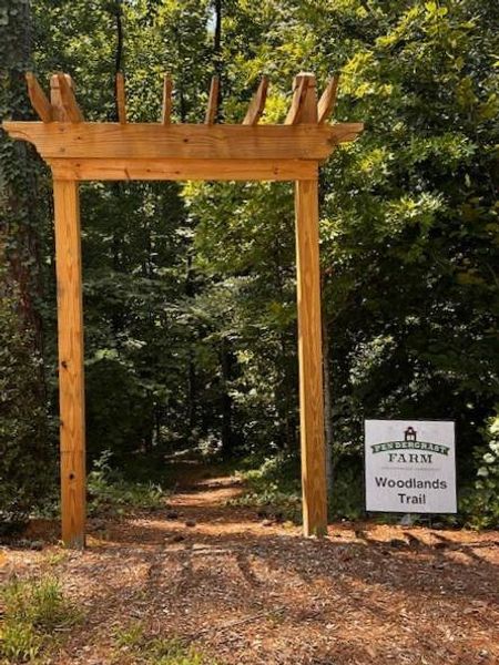 Image 52 of a home in Pendergrast Farm.