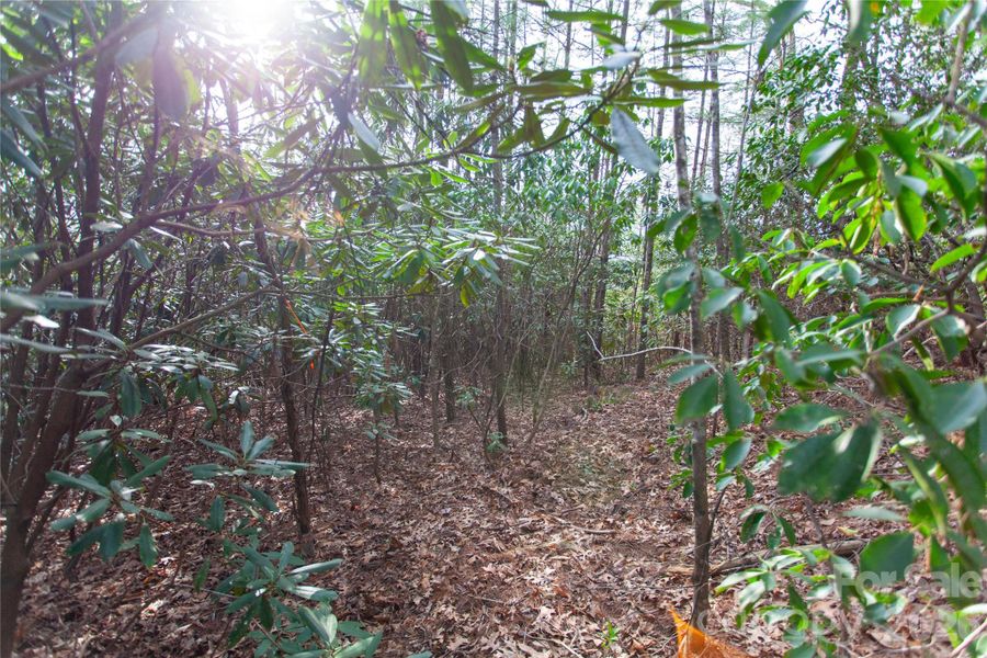 Natural landscape and outdoor views near  in Penrose (Image 5).