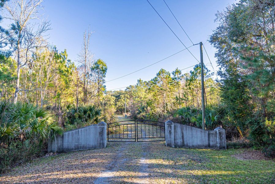 Natural landscape and outdoor views near  in Edisto Island (Image 16).