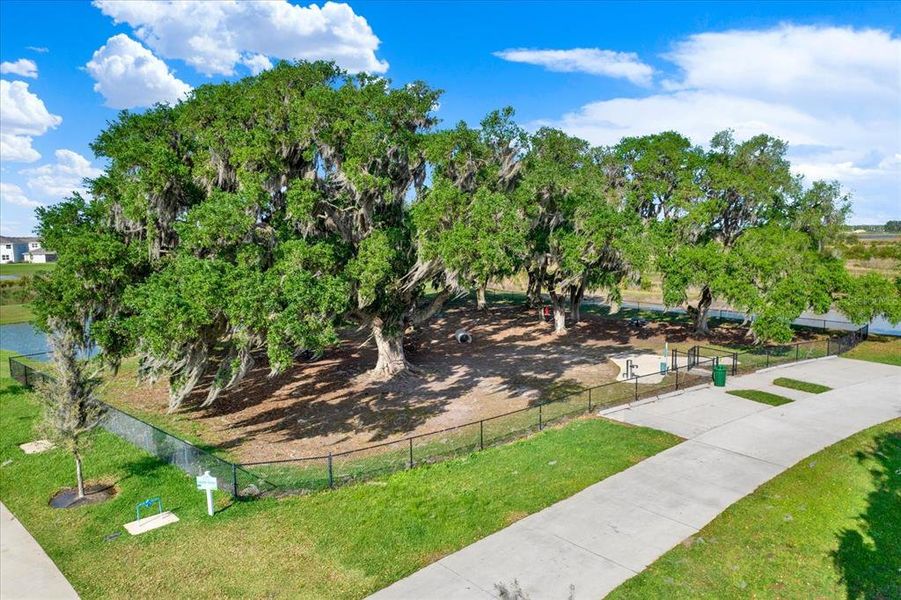 Natural landscape and outdoor views near Mirada in San Antonio (Image 49).