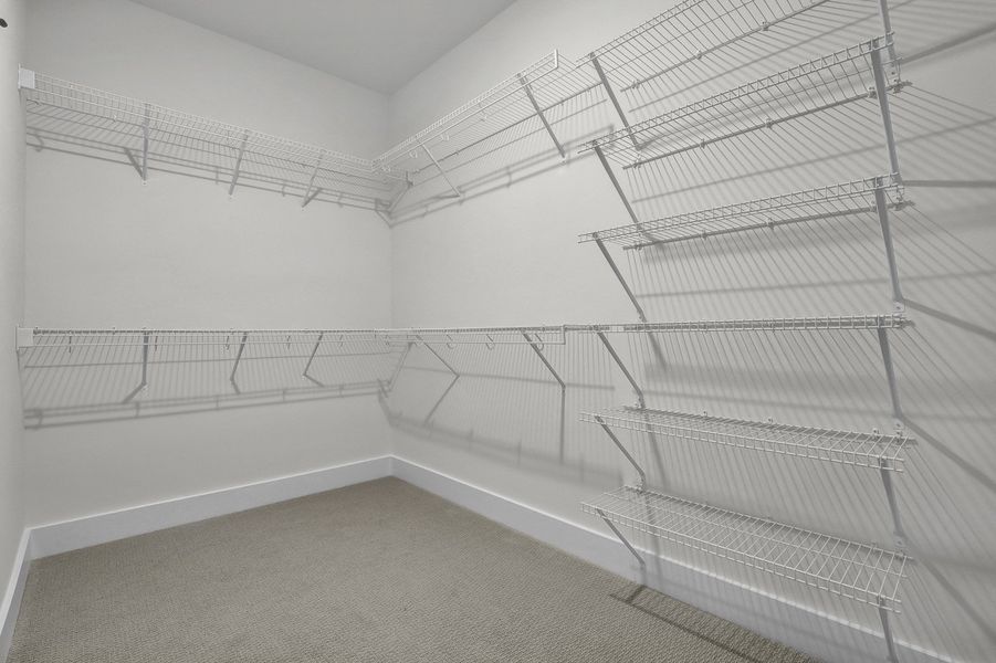 Spacious, unfurnished interior of a new home in East Wynd, Hampstead (Image 20). Spacious, unfurnished interior of a new home in East Wynd, Hampstead (Image 20).