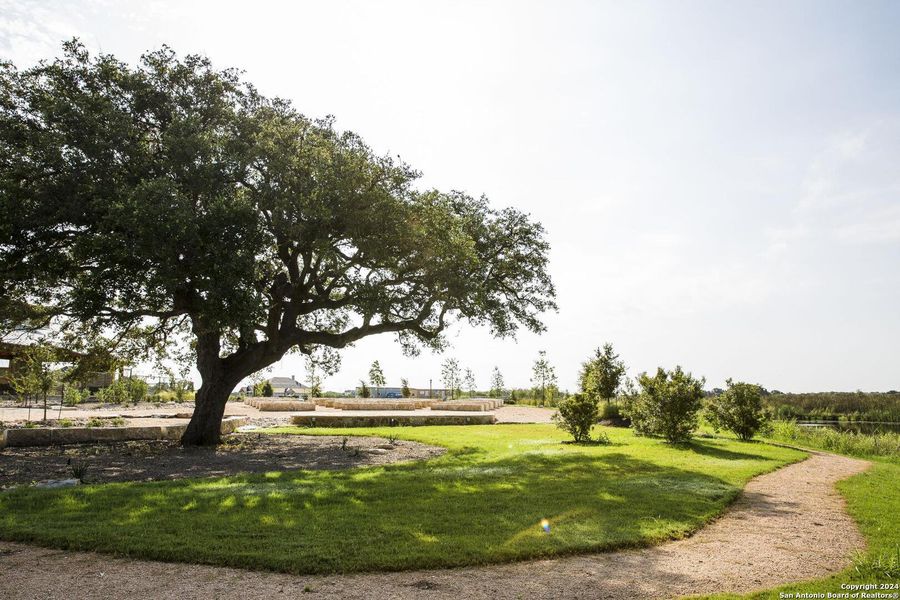 Natural landscape and outdoor views near The Crossvine in Schertz (Image 7).