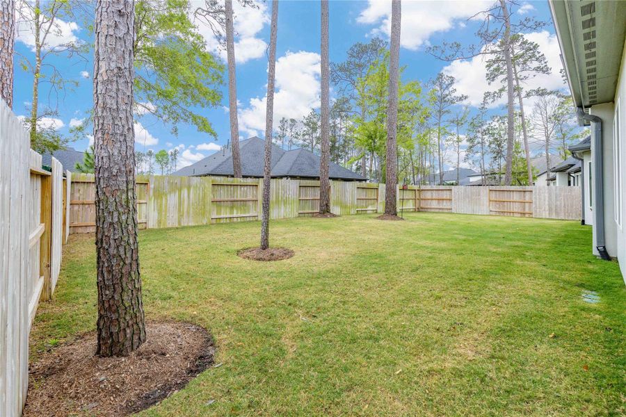 Exterior details and patio area of a home in , Conroe (Image 24). Exterior details and patio area of a home in , Conroe (Image 24).