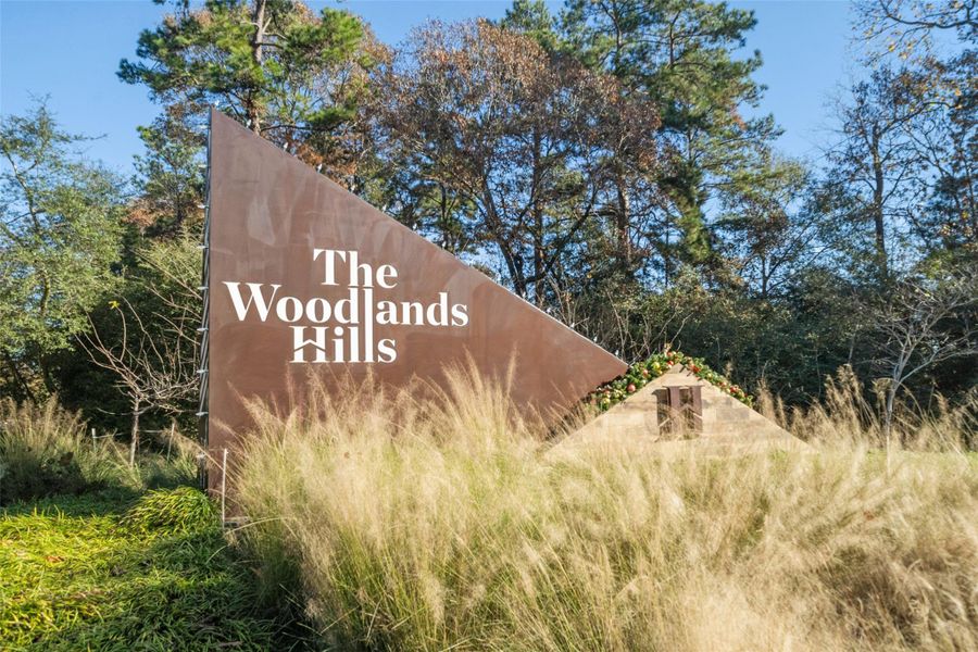 Front exterior of a new home in The Woodlands Hills 60', Willis, TX, highlighting curb appeal (Image 16). Front exterior of a new home in The Woodlands Hills 60', Willis, TX, highlighting curb appeal (Image 16).