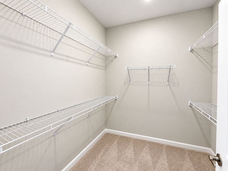 Spacious, unfurnished interior of a new home in Del Webb Wilmington at Mallory Creek, Leland (Image 11).