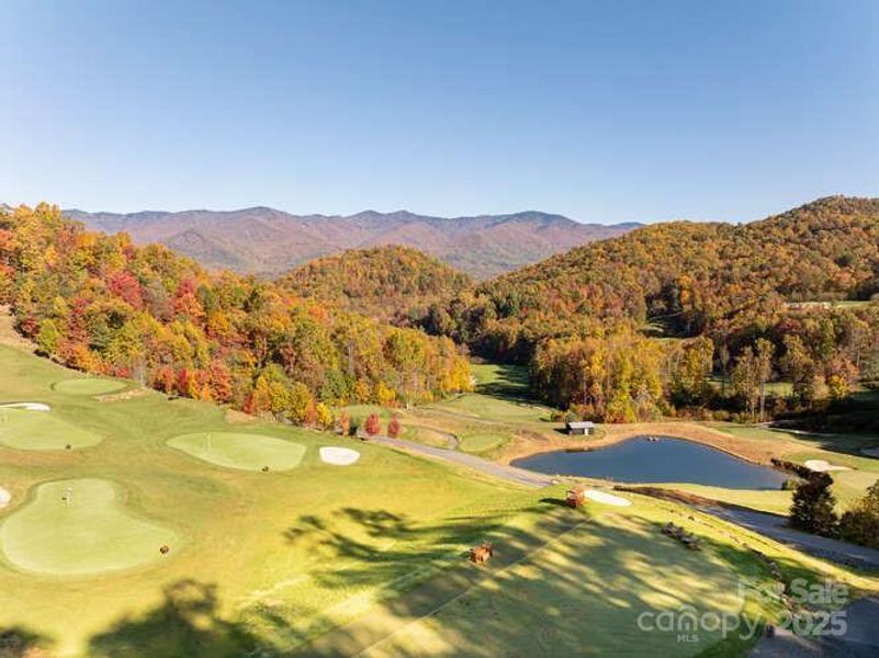 Natural landscape and outdoor views near  in Sylva (Image 28).