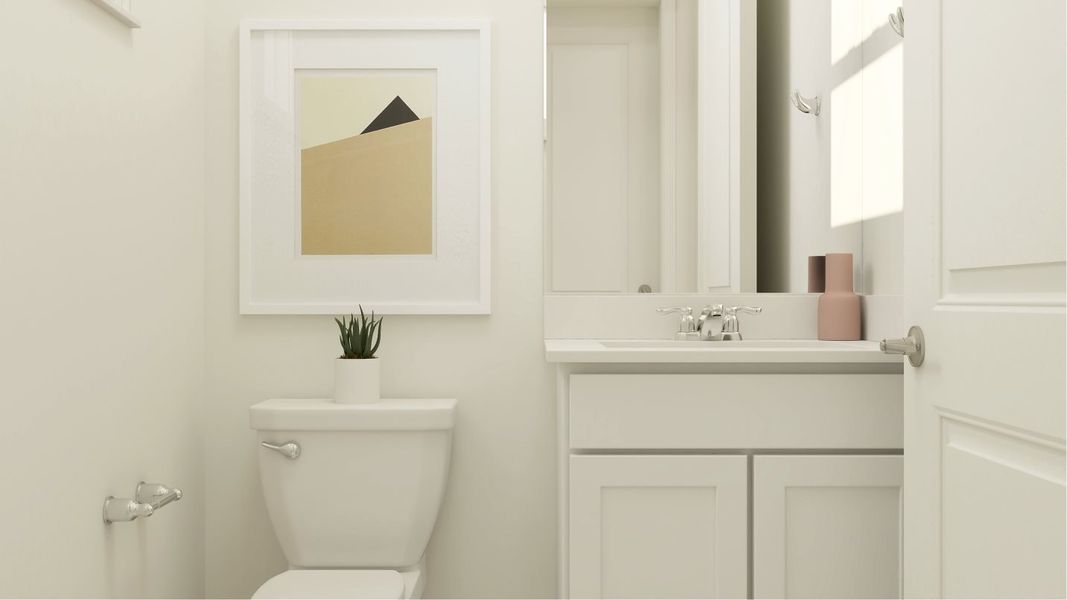 2571 Tulip Powder F1 10 04 24