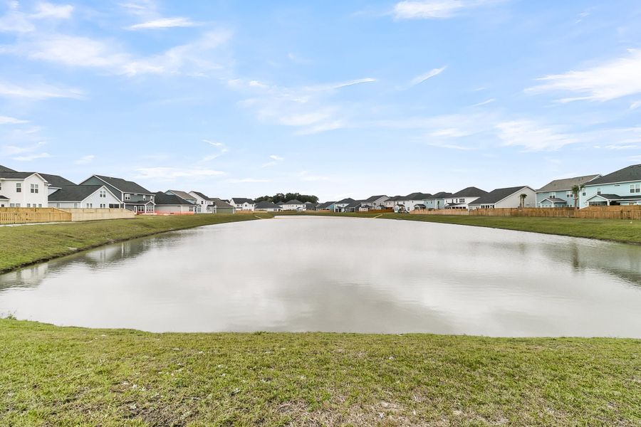 Natural landscape and outdoor views near Hewing Farms in Summerville (Image 50).