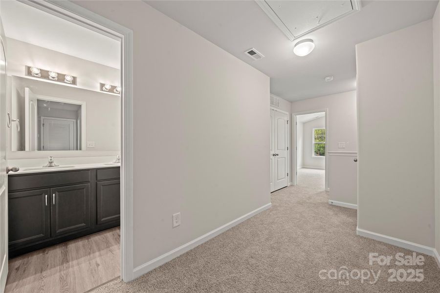 Double vanity in hall bathroom Double vanity in hall bathroom