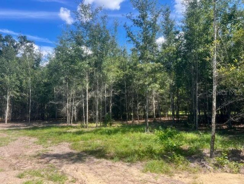 Image 16 of a home in . Image 16 of a home in .