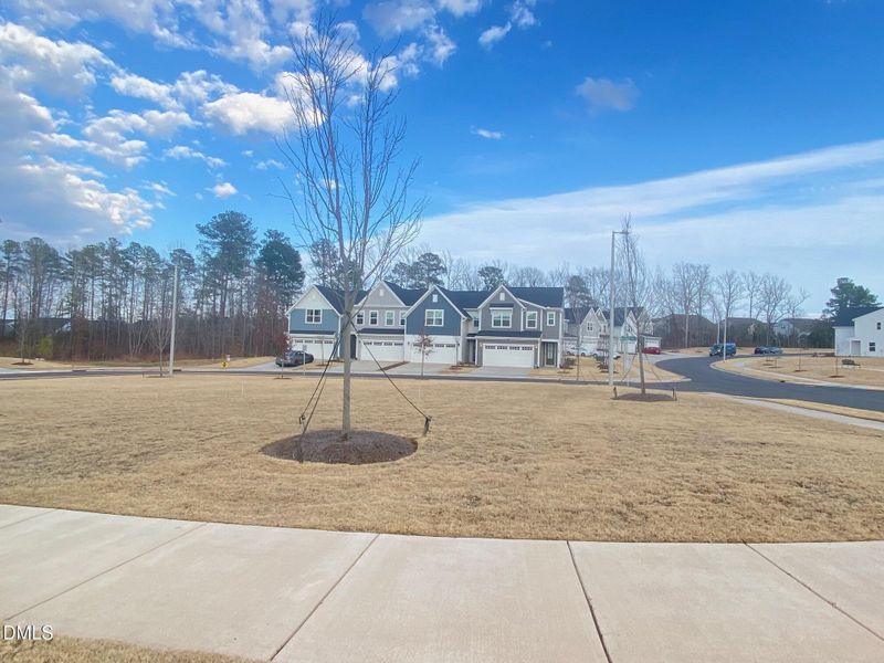 Front garden Front garden