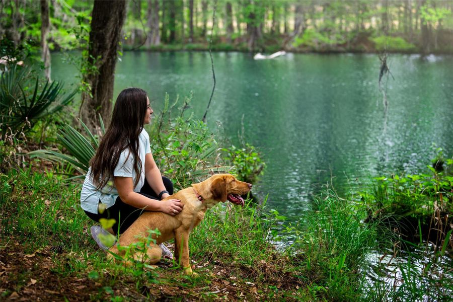 Image 25 of a home in The Highlands 45'. Image 25 of a home in The Highlands 45'.