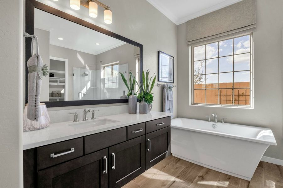 Representative furnished interior of a home built from the Residence Six by Blandford Homes in Earnhardt Ranch, Chandler (Image 14).