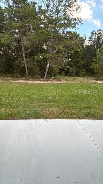 Natural landscape and outdoor views near  in Ocala (Image 13).