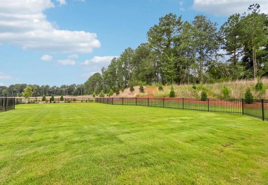 Natural landscape and outdoor views near Kendall Grove in McDonough (Image 9). Natural landscape and outdoor views near Kendall Grove in McDonough (Image 9).