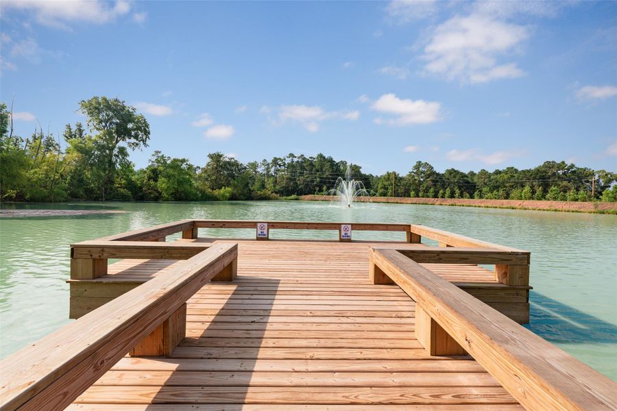 Natural landscape and outdoor views near Ridgeland Hills in Willis (Image 30).