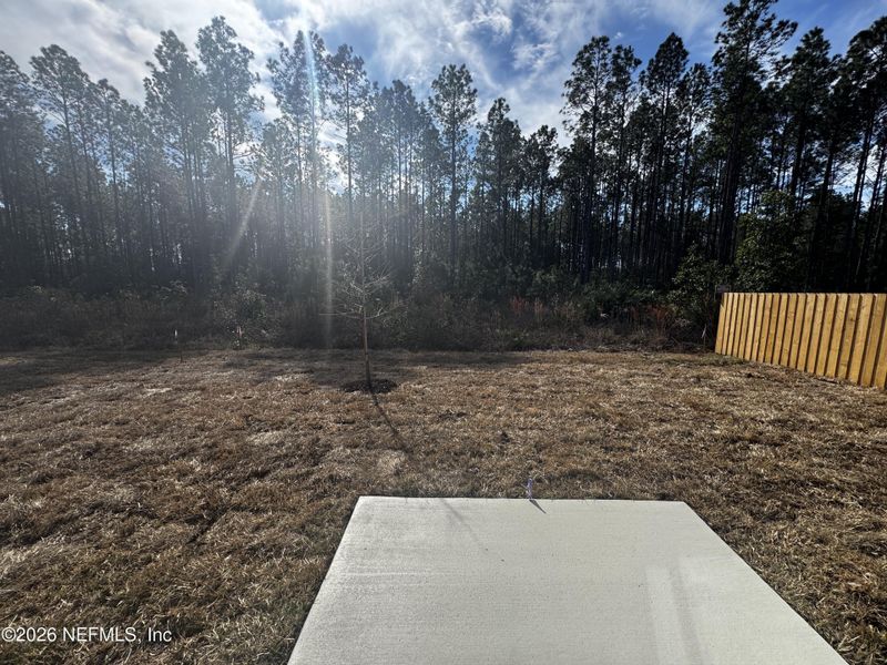 Site preparation for new homesites in Copes Landing, Jacksonville (Image 31).
