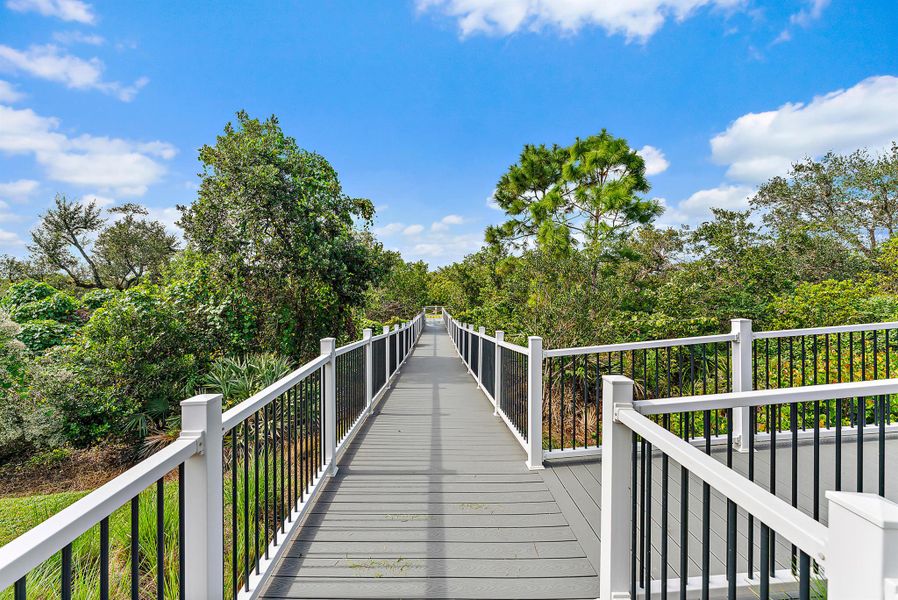 Natural landscape and outdoor views near Banyan Bay in Stuart (Image 94).