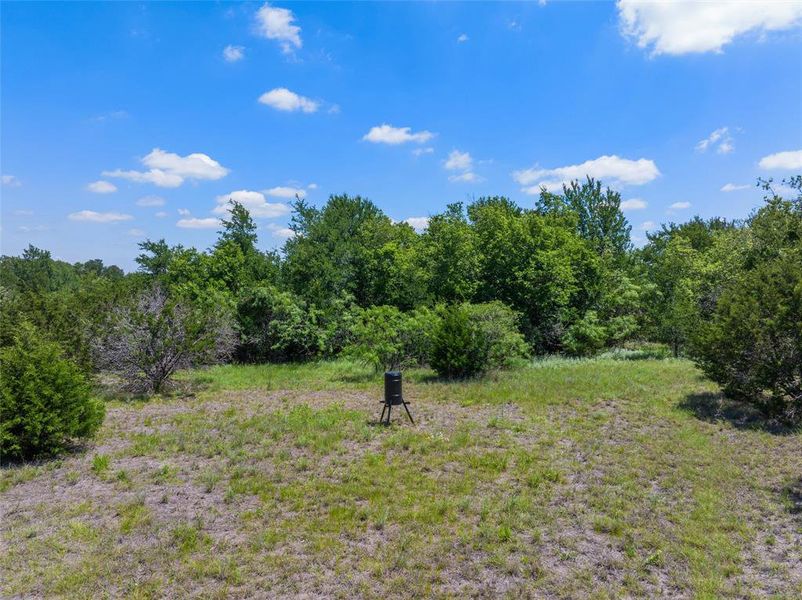 Natural landscape and outdoor views near in Gholson (Image 30). Natural landscape and outdoor views near in Gholson (Image 30).