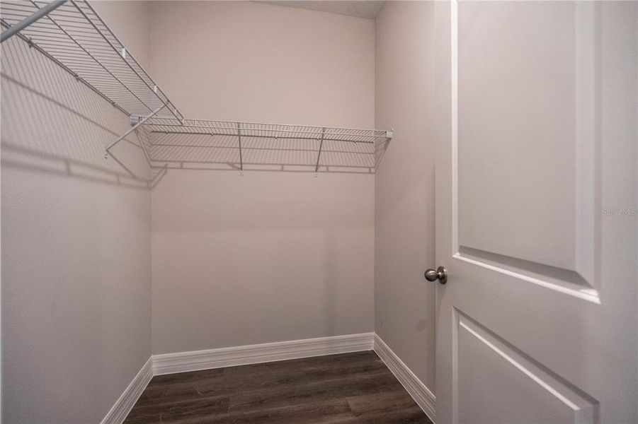 Spacious, unfurnished interior of a new home in , Tavares (Image 31).