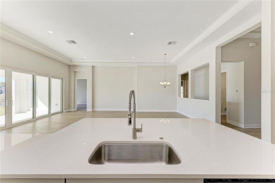 Close-up of interior finishes inside a home in Hawkstone, Lithia (Image 16).