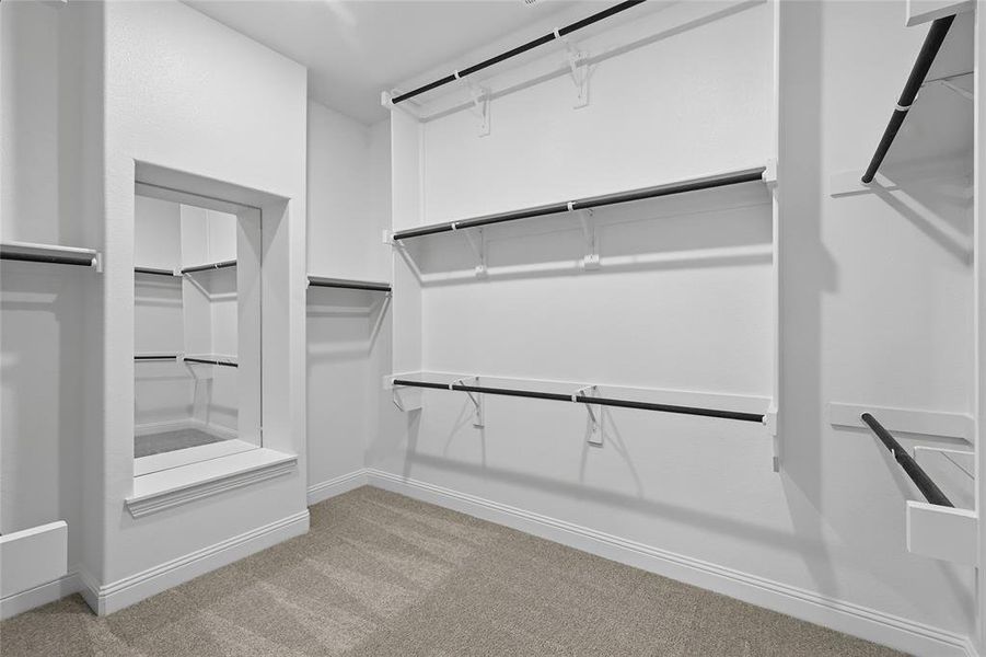 Spacious closet featuring carpet