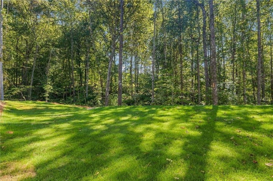 Natural landscape and outdoor views near  in Flowery Branch (Image 63).