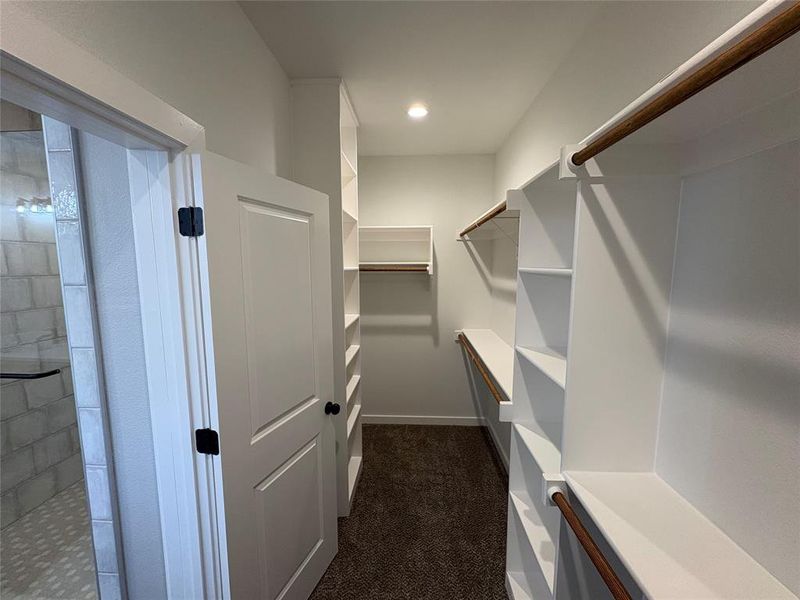 Walk in closet with dark colored carpet