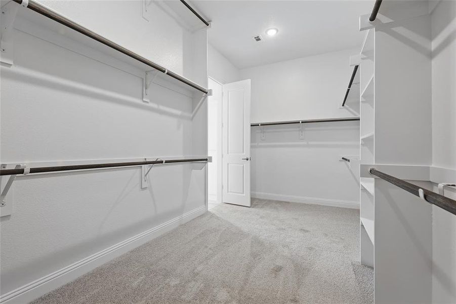 Spacious closet featuring light colored carpet and visible vents