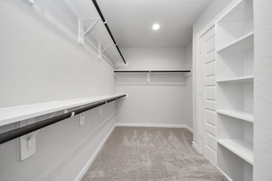 Experience luxury in this spacious walk-in closet with high ceilings and plush carpet. Warm paint tones, built-in shelving, and dark finishes create a contemporary and functional retreat