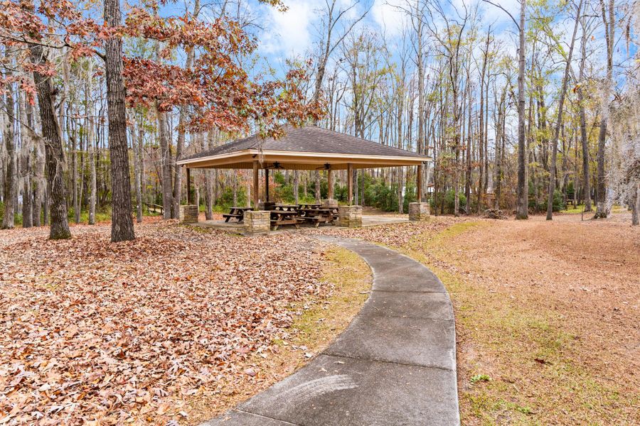 Community amenities in , Elloree (Image 29). Community amenities in , Elloree (Image 29).