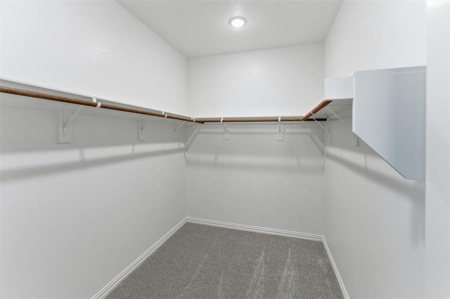 Walk in closet featuring dark carpet