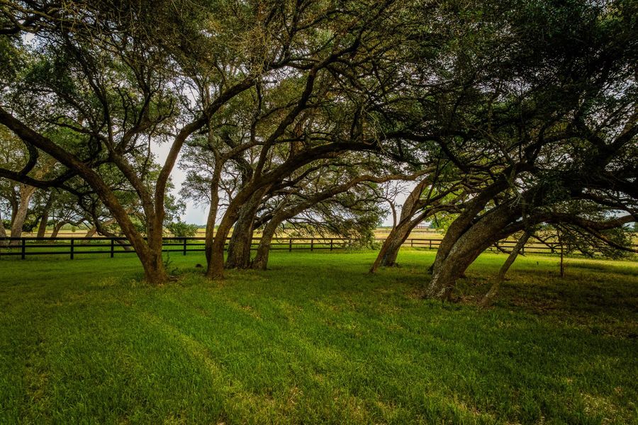 View of yard featuring a rural view View of yard featuring a rural view