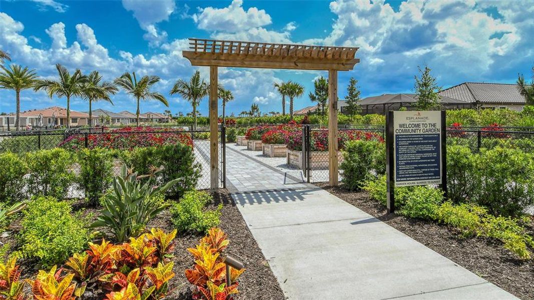 Community amenities in , Bradenton (Image 73).