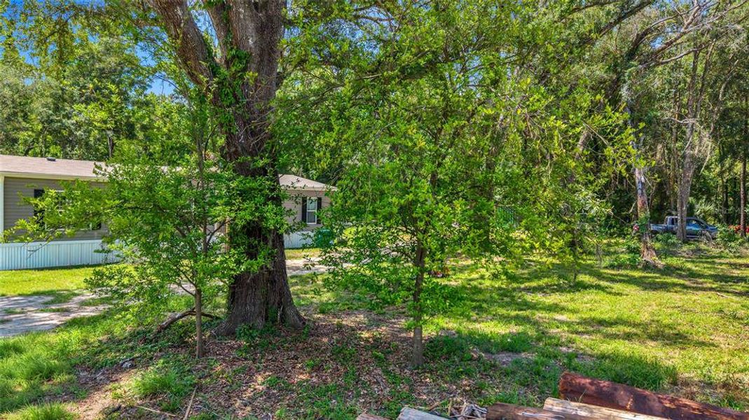 Natural landscape and outdoor views near  in Brooksville (Image 39).