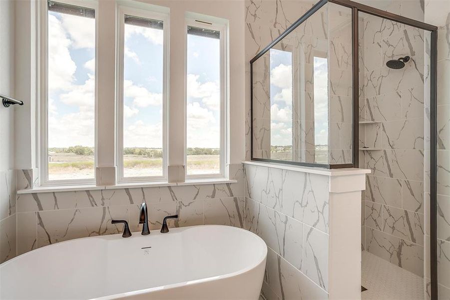 Bathroom with a wealth of natural light and shower with separate bathtub