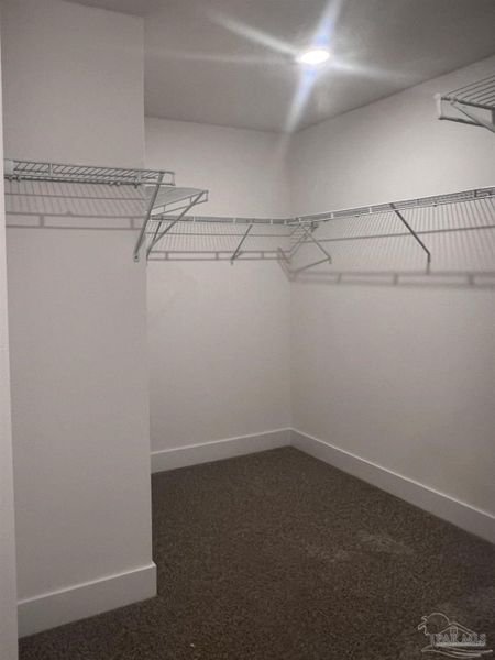 Spacious, unfurnished interior of a new home in Blossom Grove, Milton (Image 10).