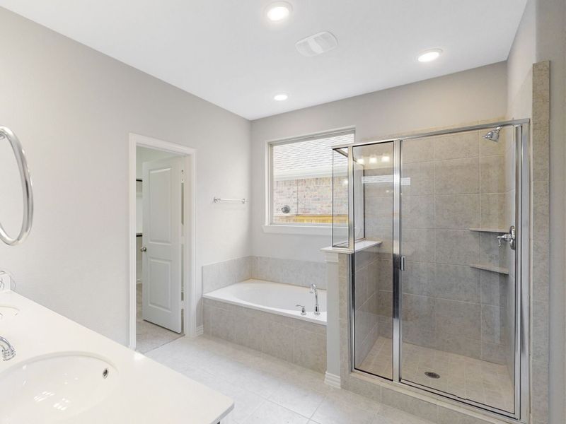 Owner's Bathroom
